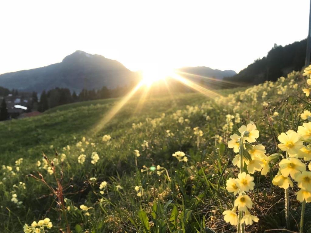 Gaestehaus Dauser Lejlighed Obermaiselstein