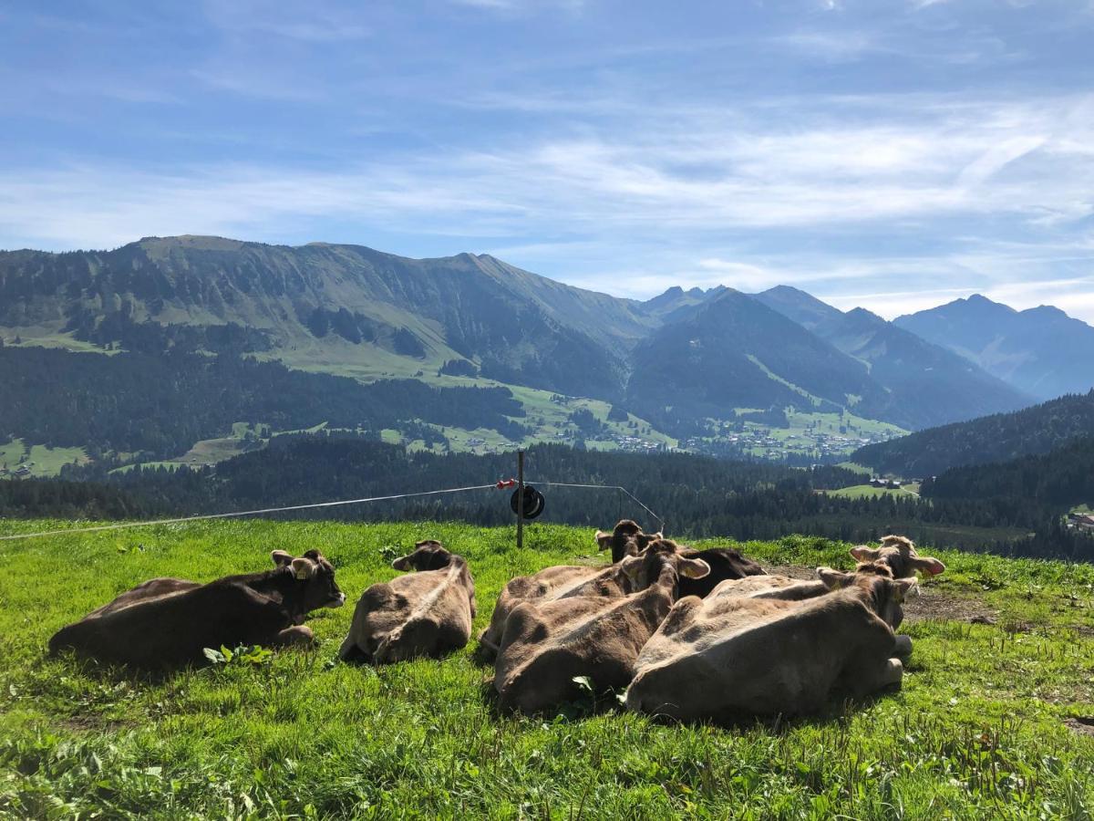 Gaestehaus Dauser Obermaiselstein
