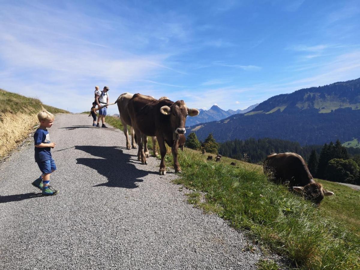 Lejlighed Gaestehaus Dauser Obermaiselstein